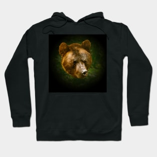 Brown bear portrait Hoodie